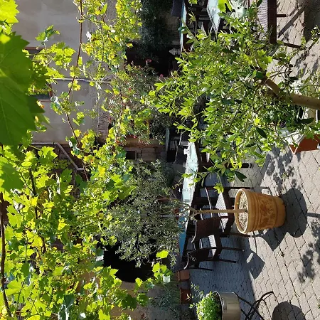Restaurant Toscana ホテル ナウムブルク