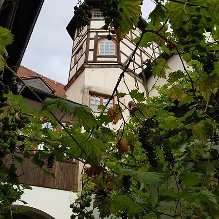 Restaurant Toscana 3* Naumburg (Saale)