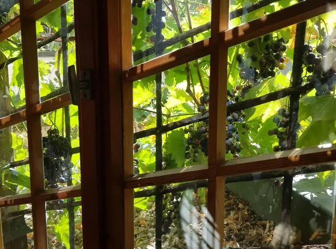 Restaurant Toscana Szálloda 3*