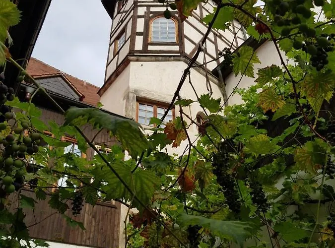 Restaurant Toscana 3* Naumburg